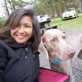 Experienced and Reliable House and Pet Sitter