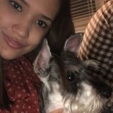 Jacksonville Beach Animal Lover Available For Being Hired