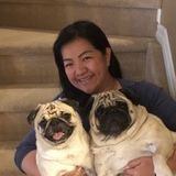 Experienced and dependable nanny you can trust available immediately