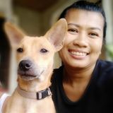 Honest dog and cat sitter also available for Overnight Care