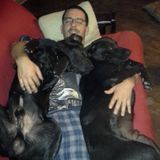 Loving Pet Sitting Professional for Hire