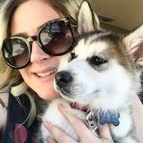 Energetic and Compassionate Pet Sitter/Walker for Hire!