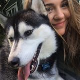 Looking for some animals to love on and care for!