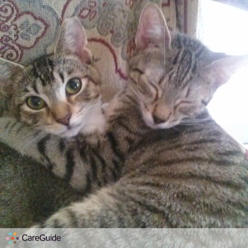 Pet Care Provider Carol T's Profile Picture