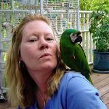 Holiday, Florida Dog Sitter and Animal Care Giver.