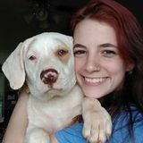 Animal lover and Pet sitter