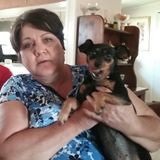 I'm an honest caring person who loves animals honest and very clean and responsible