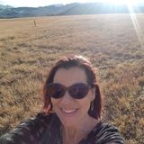 Excellent House and Pet Sitter