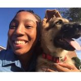 Disciplined Animal Caregiver in Fresno, Texas