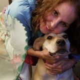 Seasoned dog sitter