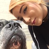 Friendly Animal lover and pet sitter from Miami! Ready to show your furry friend a great time with great care.