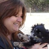 Dedicated & Loving Pet Sitter for Hire