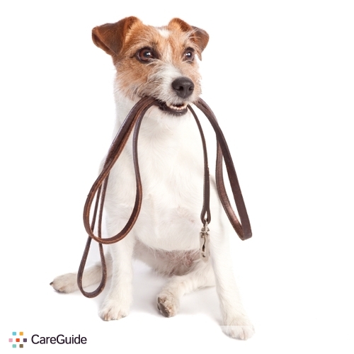 Pet Care Provider Brittany K's Profile Picture