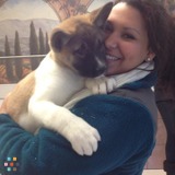Easton pet sitter looking for summer pet sitting job!
