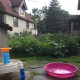 Homeschooler aged 6 and a 1 year old needing extra activities and care.
