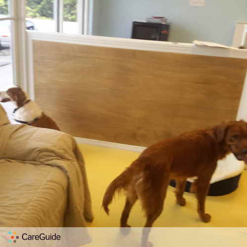 Pet Care Provider Michael W's Profile Picture