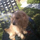 I'm Sasha and I need money to help my parents with bills. However, I'm only 13.