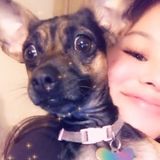 Trustworthy Dog Sitter
