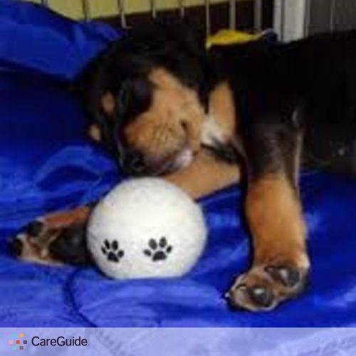 Pet Care Provider Safe H's Profile Picture