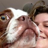 PetsittingPet VisitsDog Walking Services?