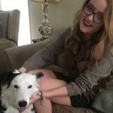 Schertz Dog Walker Interested In Being Hired in Texas