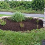 Landscaping Design