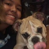 Hello I am Hermione acosta! i provide great dog sitting and walking services