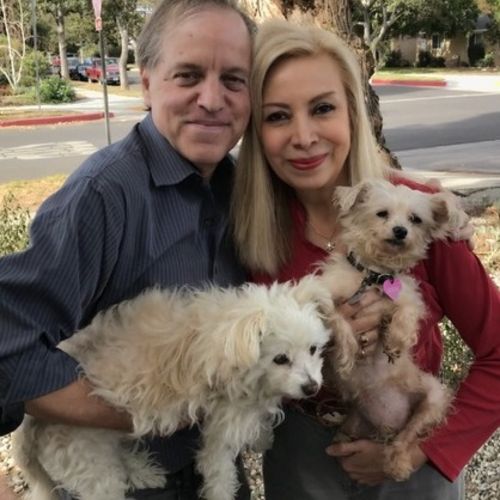 Pet Care Provider Neal A's Profile Picture