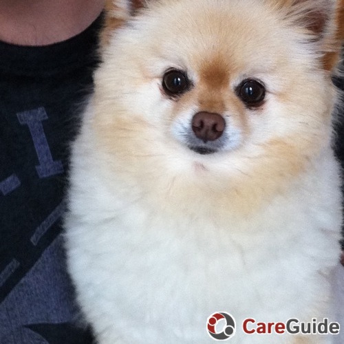 Pet Care Provider Leslie Weiss's Profile Picture