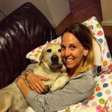 House Sitter Available For The Festive Season