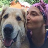 Experienced pet carer, animal lover looking forward to meeting your pet