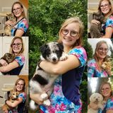Experienced Animal Care Aid Available Now!
