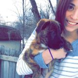 Gilbert, Arizona Dog Sitting Professional Posting