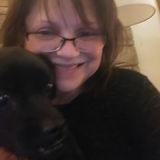 Trustworthy, Mature, Reliable House and Pet Sitter Serving Deerfield, Lake Forest, Glencoe, Northbrook, Highland Park