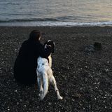 Animal Caregiver - Pet Sitting - Dog Walking