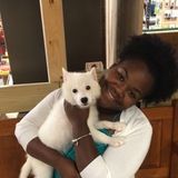 Reliable Dog Sitting Professional in Vero Beach