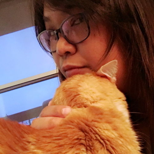 Pet Care Provider Aimmy Metha's Profile Picture
