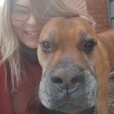 Trustworthy Reliable House and Pet Sitter