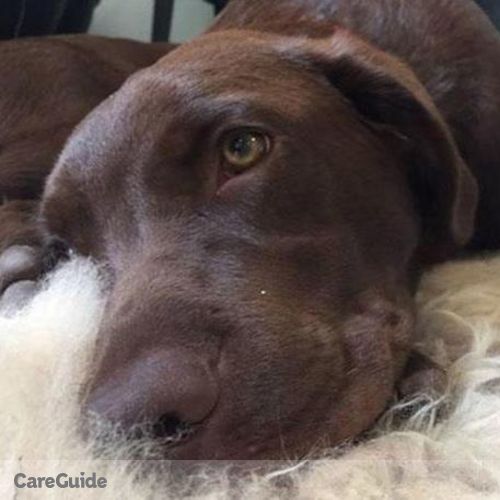 Pet Care Provider Nikayla K's Profile Picture