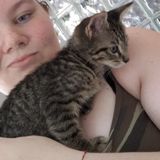 Amazing Pet/Animal Care Available Anytime!