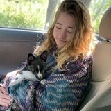 For Hire: Disciplined Pet Sitter in St. Petersburg, Florida