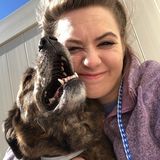 Available: Well Experienced Dog Sittier in Pinehurst