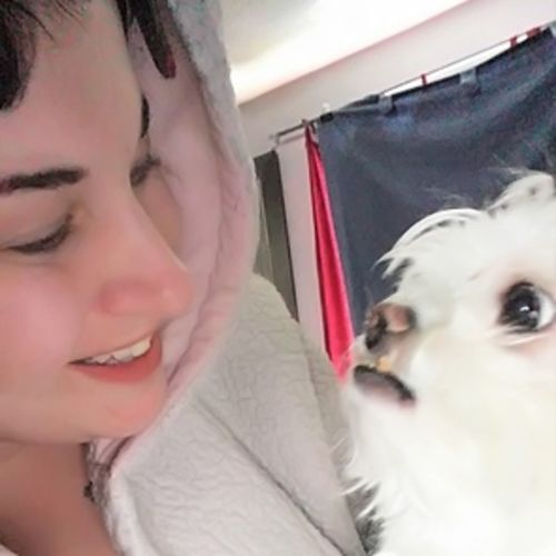 Pet Care Provider Apryl H's Profile Picture