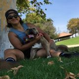 Placentia/ Fullerton Dog Sitter Available To Make Leaving Your Pooch A Little Easier.