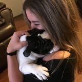 I am Caroline, Im an 18 year old girl who loves taking care of pets.