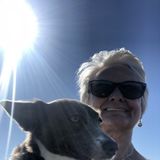 Bradenton Pet Sitter Interviewing For Being Hired