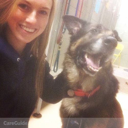 Pet Care Provider Megan B's Profile Picture