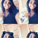 Qualified and Dependable Pet Sitter - Available Immediately