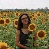 Reliable house/pet sitter