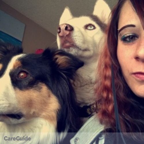 Pet Care Provider Shawna B's Profile Picture